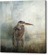 Hiding In The Reeds Canvas Print