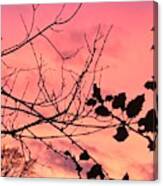 Holly Tree Sunset 2 Landscape Canvas Print