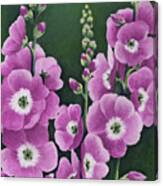Hollyhocks In Lilac Canvas Print