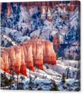 Hoodoos Of Bryce Canyon Canvas Print
