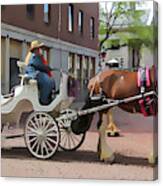 Horse And Carriage Tours In Boston Canvas Print