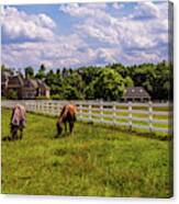 Horse Farm Canvas Print
