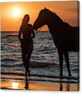 Horse On The Beach Canvas Print