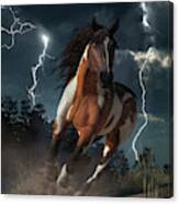 Horse Power Canvas Print