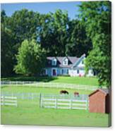 Horses In Fenced Pasture Canvas Print