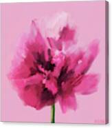 Hot Pink Carnation Canvas Print