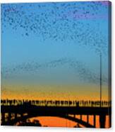 Hundreds Of People Gather To See The World's Largest Urban Bat Colony Canvas Print