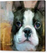 I Adore You Boston Terrier Art Canvas Print