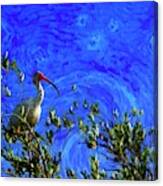 Ibis In The Sky Canvas Print