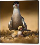 Im With My Mom Canvas Print