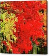 Impressionist Autumn Canvas Print
