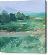 Impressionist Wildflower Field I Canvas Print