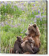 In A Mothers Arms Canvas Print