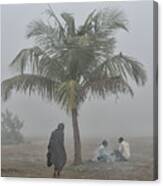 In The Fog Canvas Print