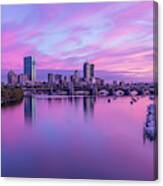 In The Pink Canvas Print