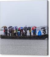 In The Rain Canvas Print