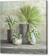 Indoor Garden Gray Canvas Print
