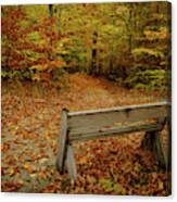 Into The Woods Canvas Print