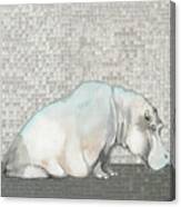 Introspective Hippo Canvas Print