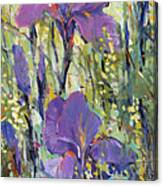 Iris Field I Canvas Print