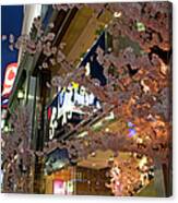 Japan, Tokyo, Cherry Blossoms In Front Canvas Print