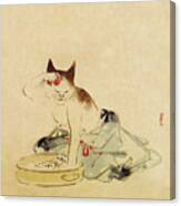 Japanese Cat Bathing Canvas Print