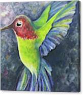 Jewel Bird Canvas Print