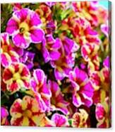 Juicy Colored Flowers Too Canvas Print