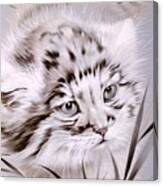 Jungle Cat 1 Canvas Print
