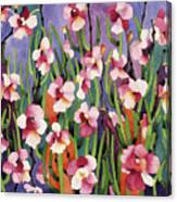 Kauai Orchids Canvas Print