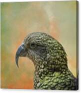 Kea Portrait Canvas Print