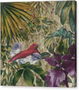King Bird Of Paradise Canvas Print