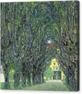 Klimt-allee Im Park Von Schloss Kammer Canvas Print