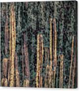 Klimt Cacti Trio A Canvas Print