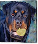 Kuma - Rottweiler Canvas Print