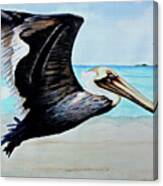 Large Pelican Canvas Print