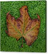 Last Fall Leaf Canvas Print
