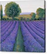 Lavender Field Ii Canvas Print