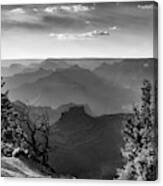 Layers Of Grand Canyon - Monochrome Canvas Print