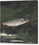 Leaping Trout Canvas Print