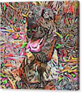 Ledo The Dutch Shepherd Dog Canvas Print
