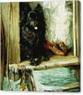 Left In Charge - A Black Pomerain On The Steps Of A Bathing Machine Canvas Print