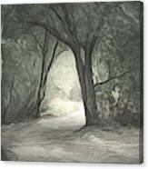 Light Through The Trees Sketch Canvas Print