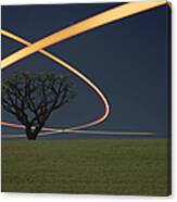 Light Trails Around Tree Canvas Print