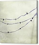 Lights Strung Up Canvas Print