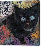 Little Black Kitten Canvas Print