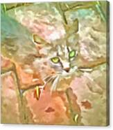 Little Cat Canvas Print