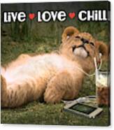 Live Love Chill Lion Cub Canvas Print