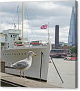 London Seagull On The Thames River London Uk United Kingdom Canvas Print