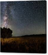 Lone Tree And Milky Way Canvas Print